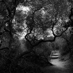 Mortals : Night Terror